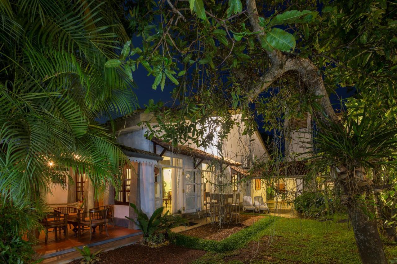 Отель Bilin Tree House Галле Экстерьер фото
